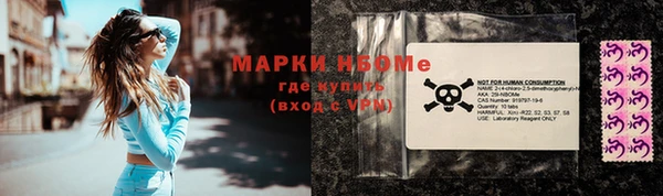стаф Кирсанов