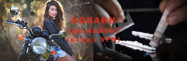 стаф Кирсанов