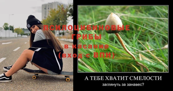 прущие грибы Навашино