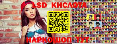 индика Гусев