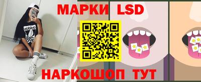 индика Гусев