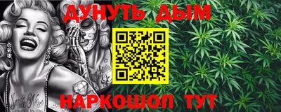 индика Гусев