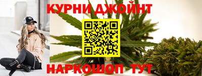 индика Гусев
