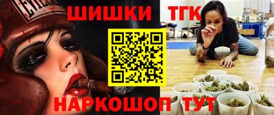 индика Гусев