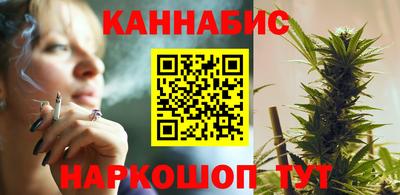 индика Гусев