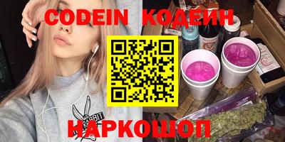 индика Гусев