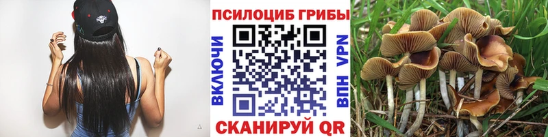 Псилоцибиновые грибы MAGIC MUSHROOMS  Мичуринск 