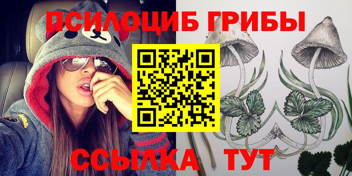 Мичуринск  Псилоцибиновые грибы MAGIC MUSHROOMS  Вход с VPN 