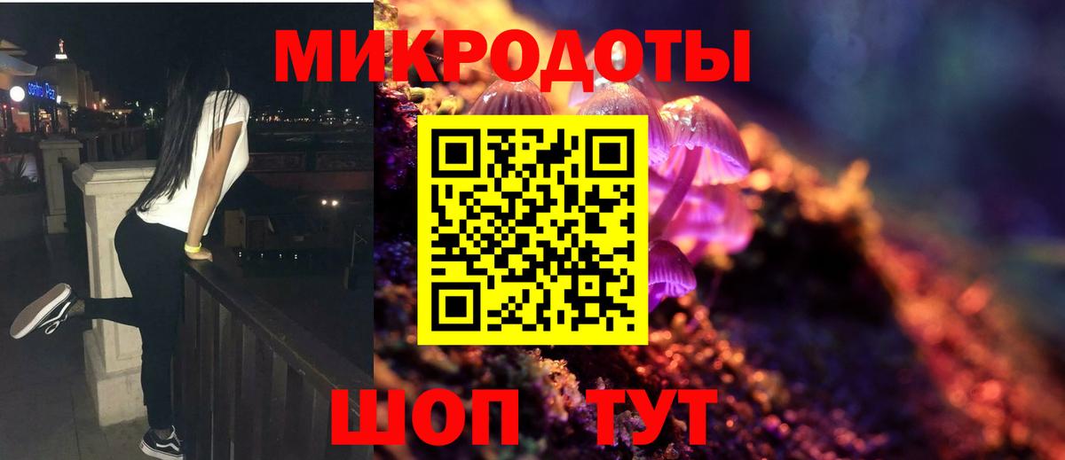 Галлюциногенные грибы GOLDEN TEACHER  Мичуринск  купить   Псилоцибиновые грибы мицелий 