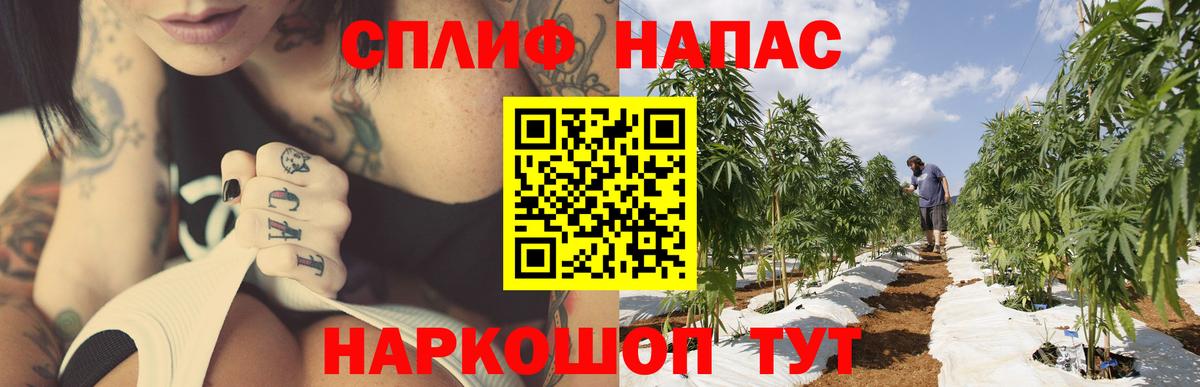Каннабис VHQ  Конопля сатива  Каннабис Ganja  Мичуринск 